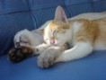 /album/fotogaleria/images-6-jpg/